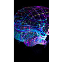 TREESTECH logo - Similar company to Trees Technologies