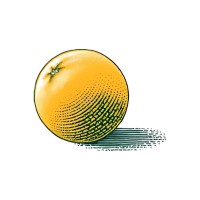 Taylor Performance Coaching