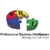 Professional Business Intelligence