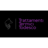 Trattamenti Termici Todesco logo - Similar company to Tra.Ind S.R.L.