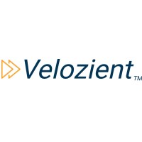 Velozient logo - Similar company to Willdom