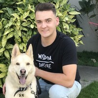 Pampered Pals - Pet And House Sitting