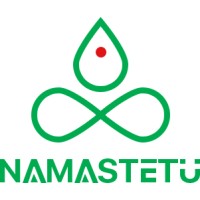 Namastetu Technologies logo - Similar company to Reinvent Systems
