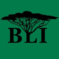 Bethany Land Institute logo - Similar company to Seedpro Kenya