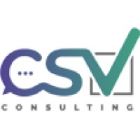 CSV Consulting logo - Similar company to Bc Software
