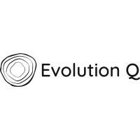 Evolution Q logo - Similar company to Burkom Solutions Gmbh