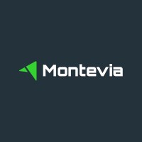 Montevia Consulting logo - Similar company to Krepit - Serviços E Suporte Em T.I