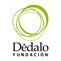 Fundación Dédalo logo - Similar company to Xiamen Levin Energy Technology Co.Ltd