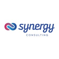 Synergy Consulting Group (2008) Ltd NZ logo - Similar company to Magnify Consulting