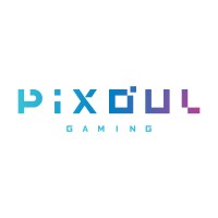 Pixoul Gaming logo - Similar company to Robocomvr