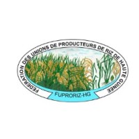 Fédération des Unions de Producteurs de Riz de la Haute Guinée logo - Similar company to Plastex Mozambique