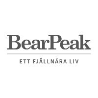 BearPeak logo - Similar company to Swetic