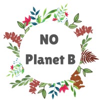 Noplanetb