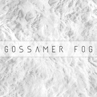 Gossamer Fog CIC logo - Similar company to Zabludowicz Collection