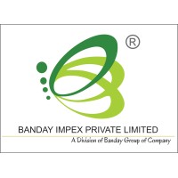 Banday Impex Pvt. Ltd. logo - Similar company to Webminds Studio