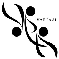 VARIASI logo - Similar company to Everdeen