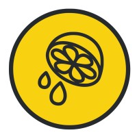 The Lemonade Stand logo - Similar company to First Page Ireland