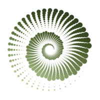Asheville Integrative Psychiatry logo - Similar company to Nectara