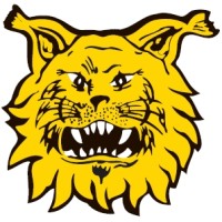 Ilves r.y. logo - Similar company to Ff Jaro
