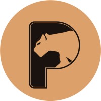 Pantherum Solutions Group logo - Similar company to Davis Broadcasting Inc.