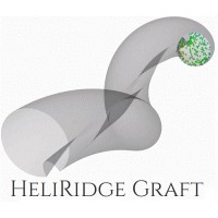 HeliRidgeGraft logo - Similar company to Nano-Syn