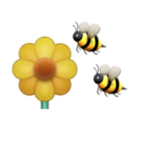 Health Bee Jian Feng Co. Ltd.