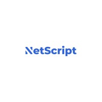NetScript logo - Similar company to Netscriper Ltd.
