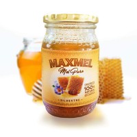 MAXMEL logo - Similar company to Pinskills Solutions