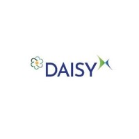 Daisy S.R.L. logo - Similar company to Bari Engineering Services