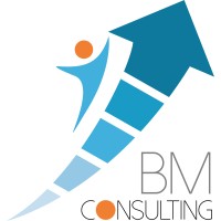 Business Mentor Consulting logo - Similar company to Business In Mentoring