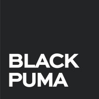 BlackPuma Digital logo - Similar company to Email Space - Agencia De Email Marketing Para Ecommerce