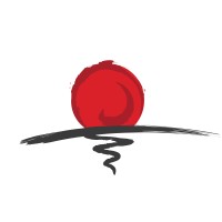 Rising Technology Study Tour E.T.S.V. Scintilla logo - Similar company to T-Box.Nl