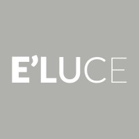 E'luce srl logo - Similar company to Wt Studio