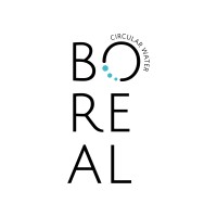 Boreal Water logo - Similar company to Prosueños (Acquired By Betterfly.Com)