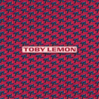 Toby Lemon Consulting logo - Similar company to Afidence