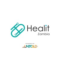 Healit Zambia logo - Similar company to Twinkle Medicals