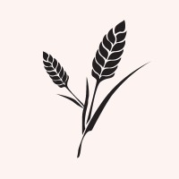Yao Secret logo - Similar company to Medspaline