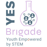 YES Brigade logo - Similar company to Stem4Sud