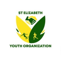 St Elizabeth Youth Network logo - Similar company to Global Business Institute