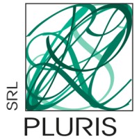 PLURIS logo - Similar company to Rfc Group