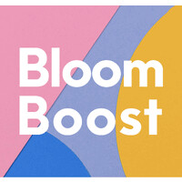 BloomBoost Marketing logo - Similar company to Emoging Virtual Imaging Service Lab