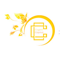 Crypto Capital logo - Similar company to Crypto Exponentials