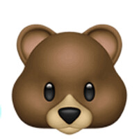 Laidback Bear Poconos