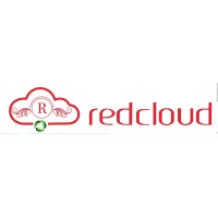 RedCloud Soft Solutions private limited logo - Similar company to Red Cloud Ltd