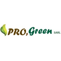 PROFESSIONAL-GREEN logo - Similar company to Connexya