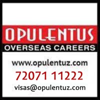 OPULENTUS - THE VISA COMPANY logo - Similar company to Federpath Consultants