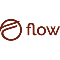 flow logo - Similar company to Giri By Ar-Experts Gmbh