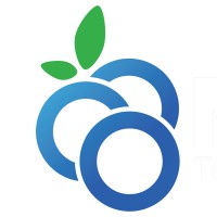 Merlot Teknoloji A.S. logo - Similar company to Chessnify