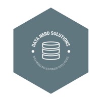 Data Nerd Solutions