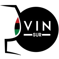 VINsur20 logo - Similar company to Théâtre Fêlé